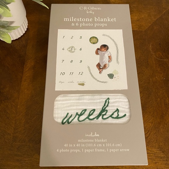 C.R Gibbons milestone blanket &6 photo props 40x40 - Picture 5 of 10